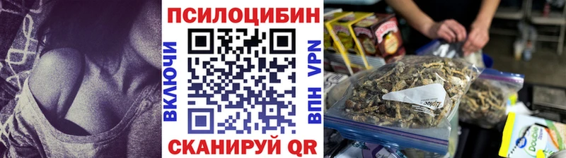 Галлюциногенные грибы MAGIC MUSHROOMS  Купить закладки  Щёлкино 